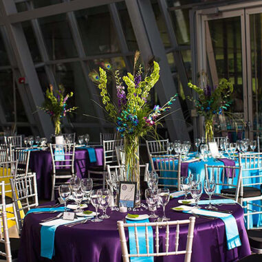A Taste of Excellence Akron Art Museum