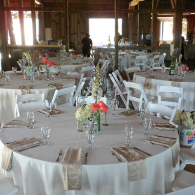 A Taste of Excellence Brookside Farms of Louisville