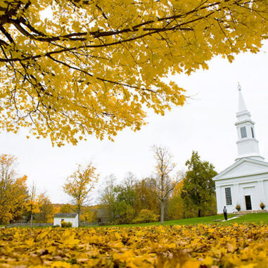 A Taste of Excellence Hale Farm Village