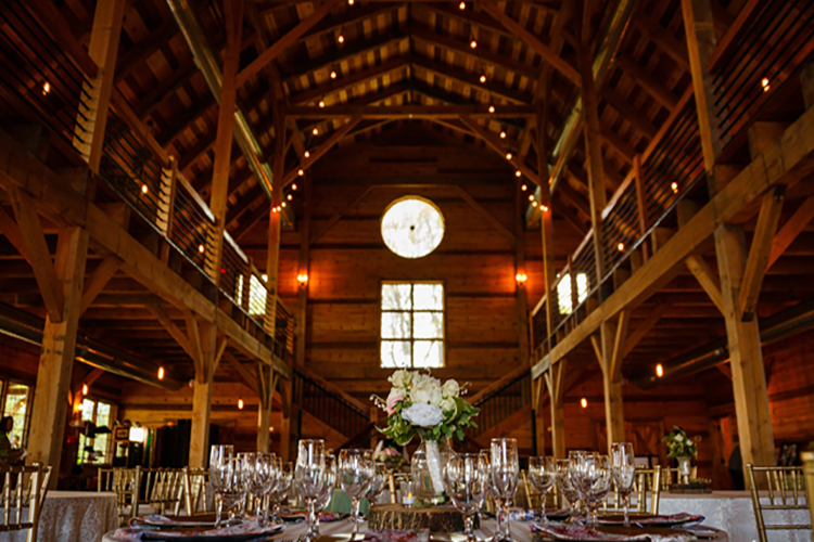 A Taste of Excellence Catering Barn at Mapleside Farms